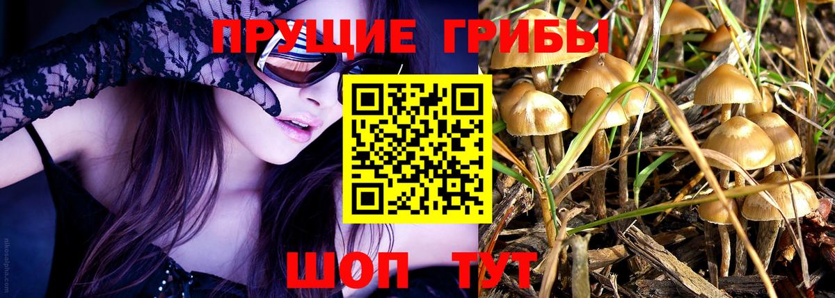 наркотики  Псилоцибиновые грибы мухоморы  Вход с VPN  Кызыл 