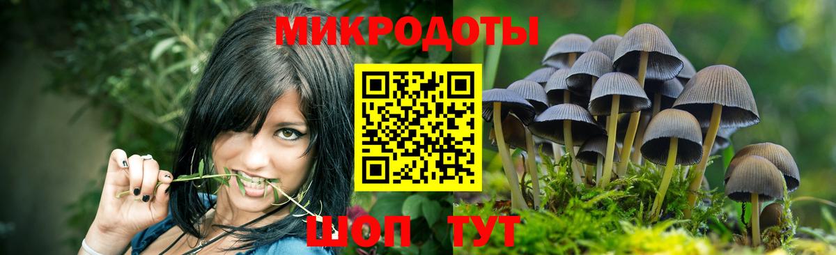 Псилоцибиновые грибы мухоморы Кызыл