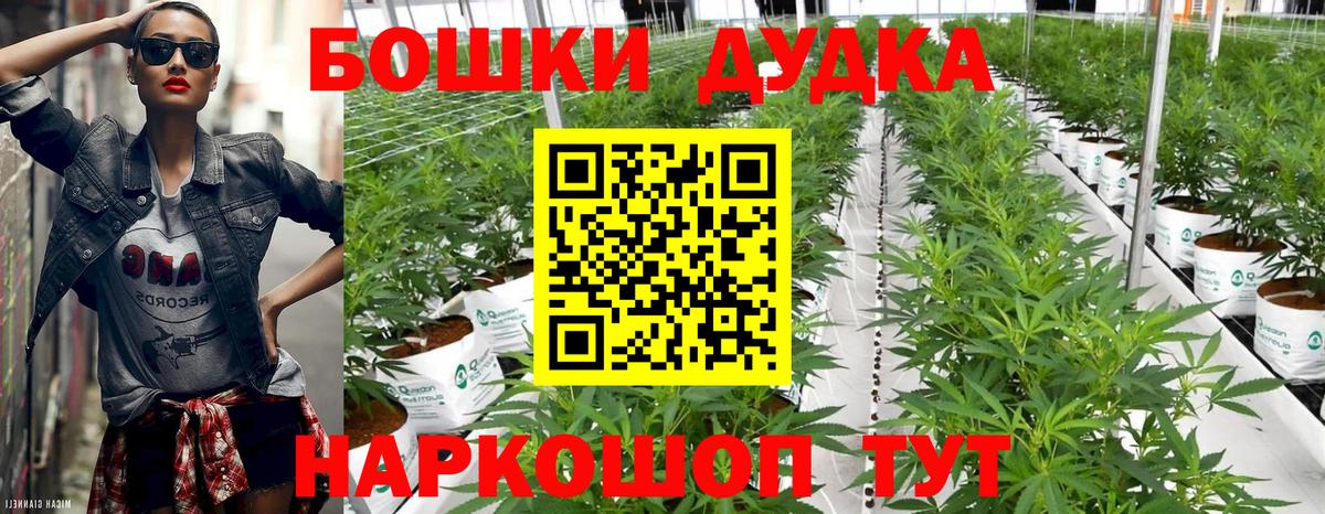 Галлюциногенные грибы Кызыл